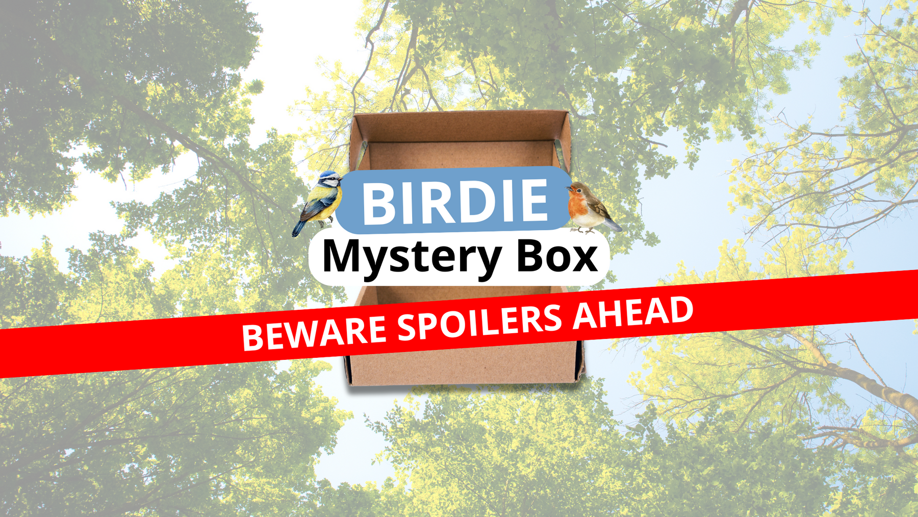 Birdie Mystery Box Preview- BEWARE SPOILERS AHEAD