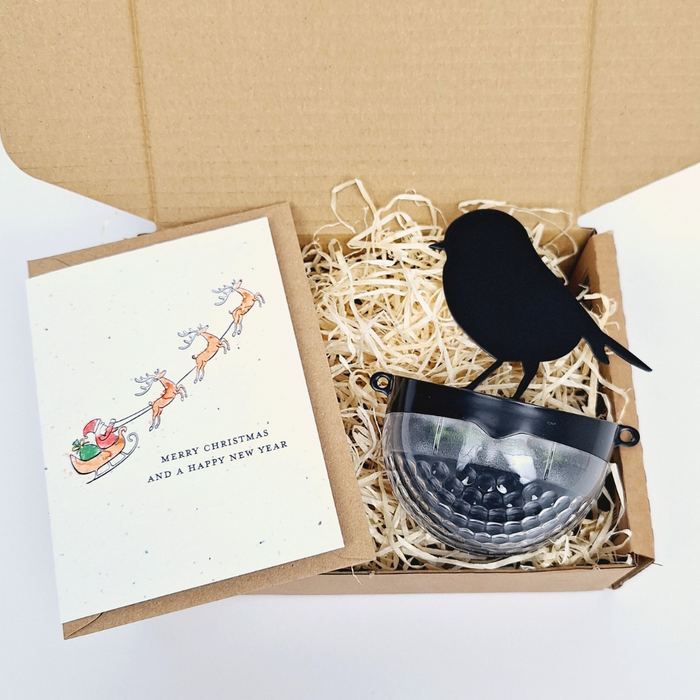 Christmas Robin Gift Set- Santa Card