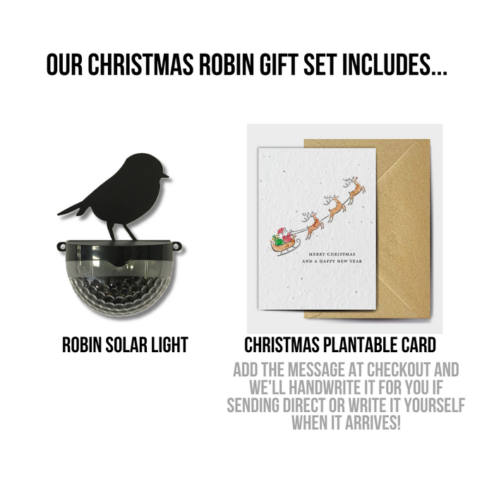 Christmas Robin Gift Set- Santa Card