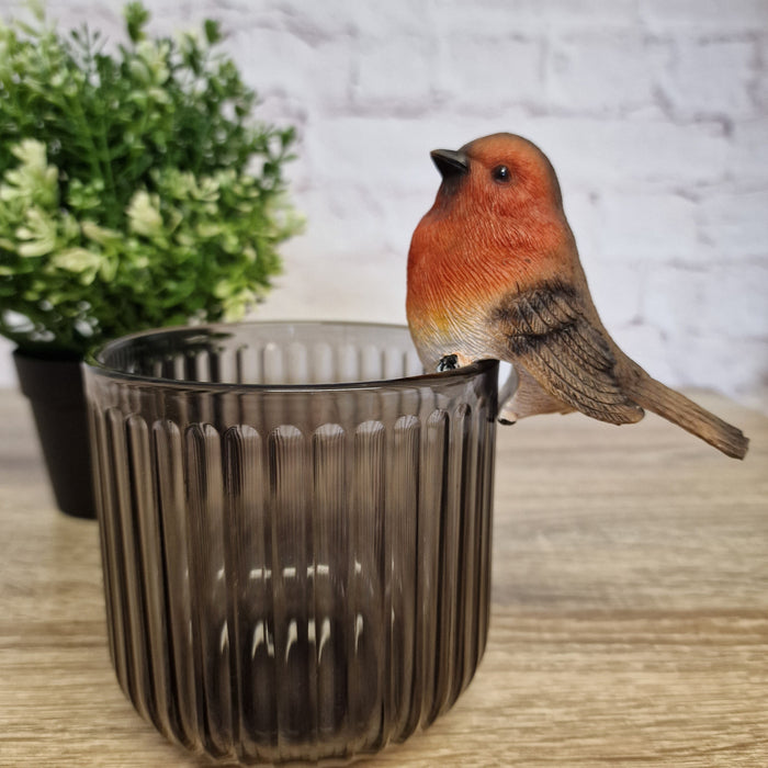 Robin Pot Hanger