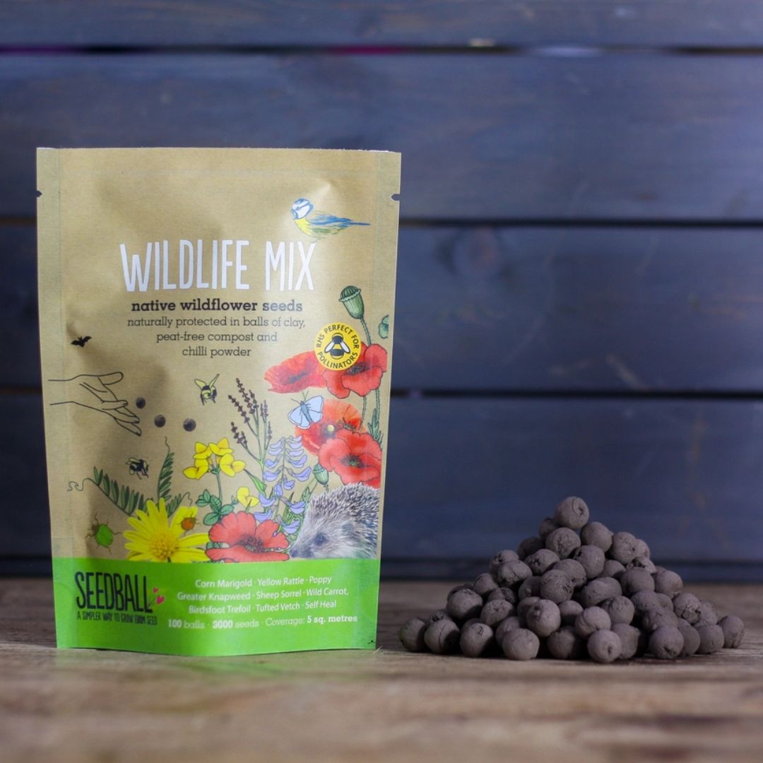 Wildlife Mix Seedballs - Wildflower Grab Bags