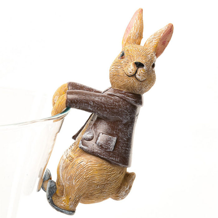 Beatrix Potter Benjamin Bunny Plant Pot Hanger