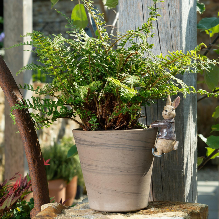 Beatrix Potter Benjamin Bunny Plant Pot Hanger