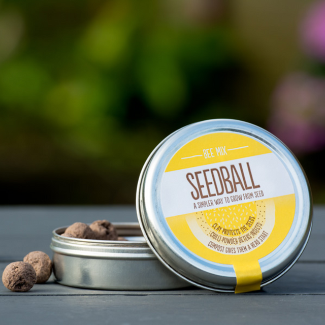 Bee Mix Seedball Tin