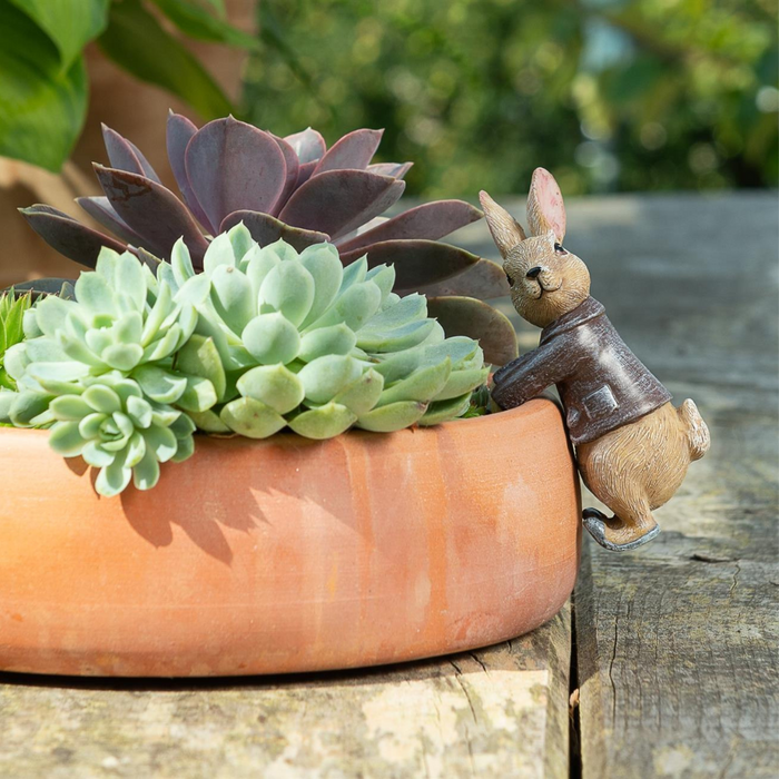 Beatrix Potter Benjamin Bunny Plant Pot Hanger