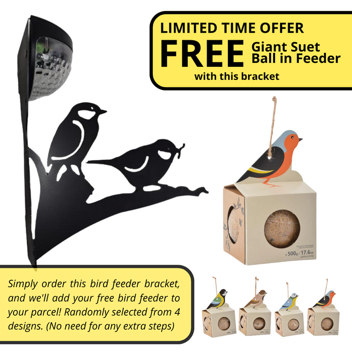 Solar Bird Feeder Bracket (with FREE Giant Suet Ball In Feeder)