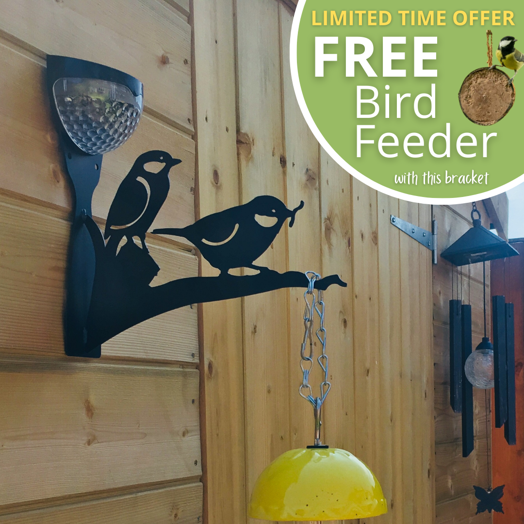 Solar Bird Feeder Starter Kit