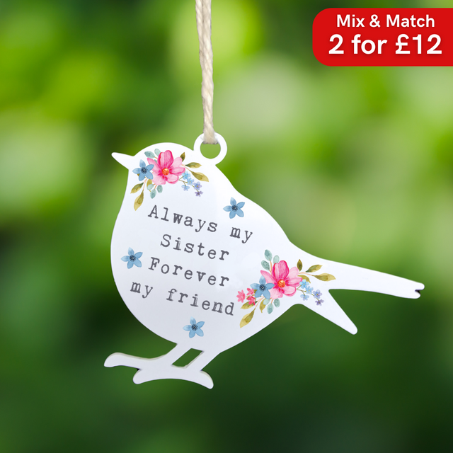 'Always my sister, Forever my friend' - White Robin Hanging Decor