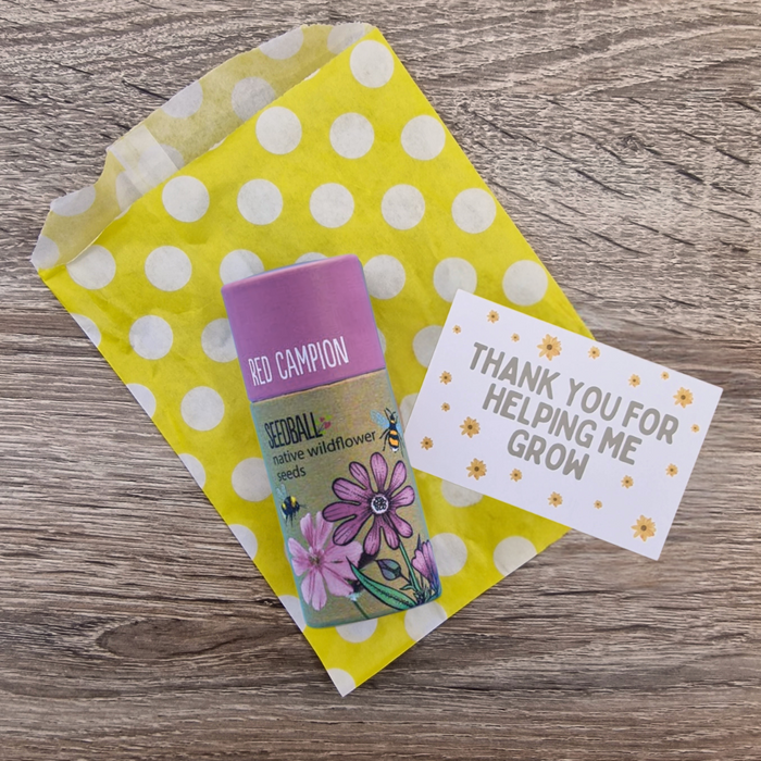 Thank You For Helping Me Grow - Teacher Gift Set