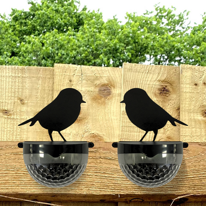 Set of 2 Robin Solar Powered LED Lights