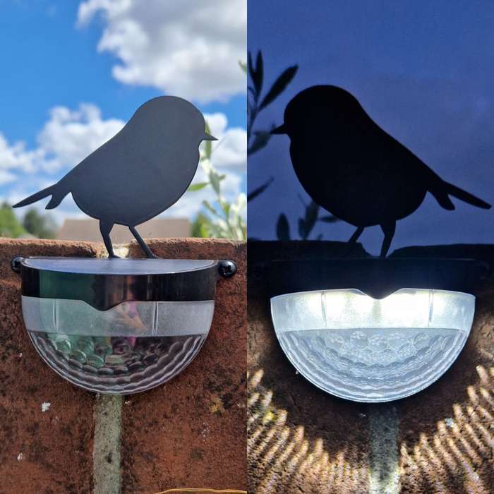 Set of 2 Robin Solar Powered LED Lights