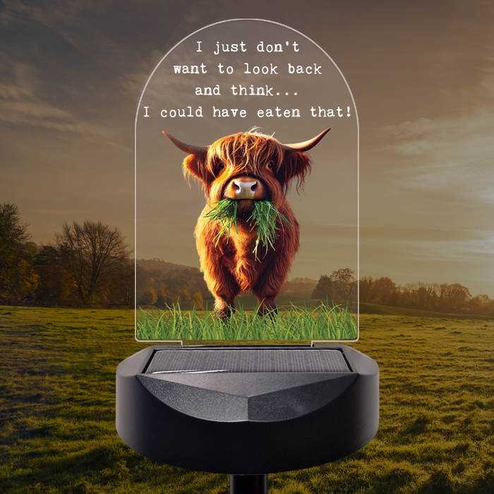 'I just don't want to look back' Highland Cow Solar Stake