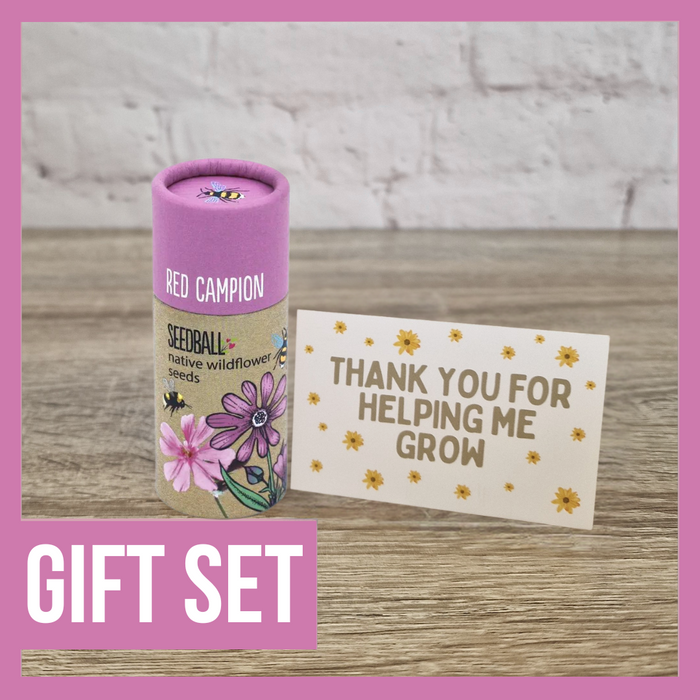Thank You For Helping Me Grow - Teacher Gift Set