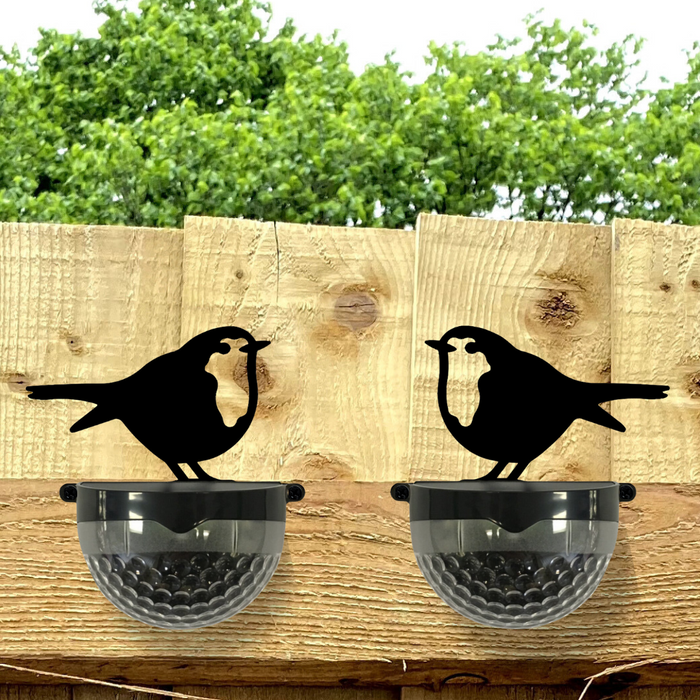 Set of 2 Robin Solar Powered LED Lights