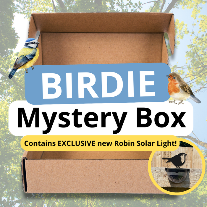 Birdie Mystery Box