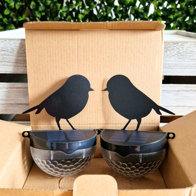 Set of 2 Robin Solar Powered LED Lights