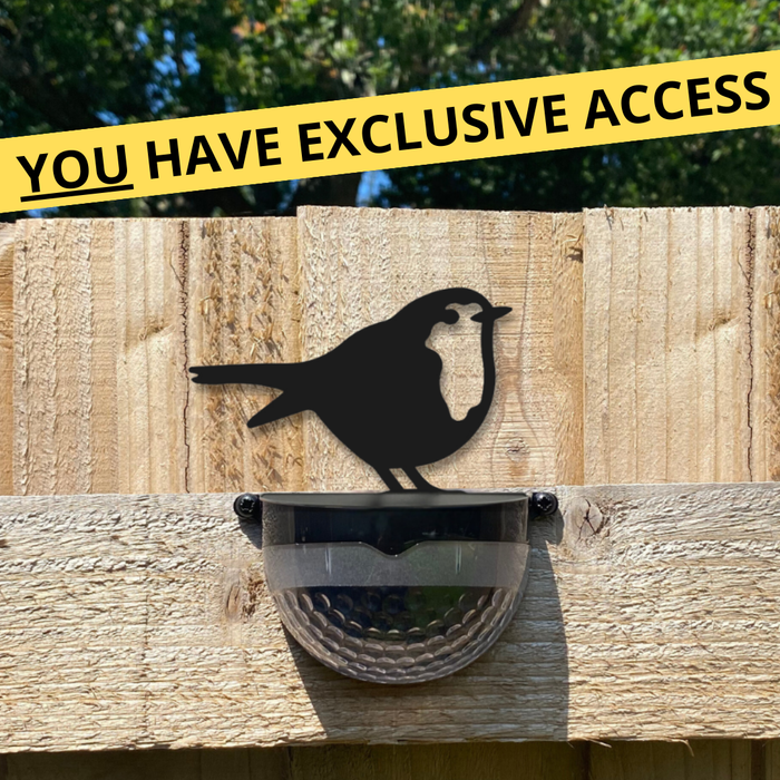 MYSTERY BOX EXCLUSIVE: Cut-out Robin Solar Powered LED Light