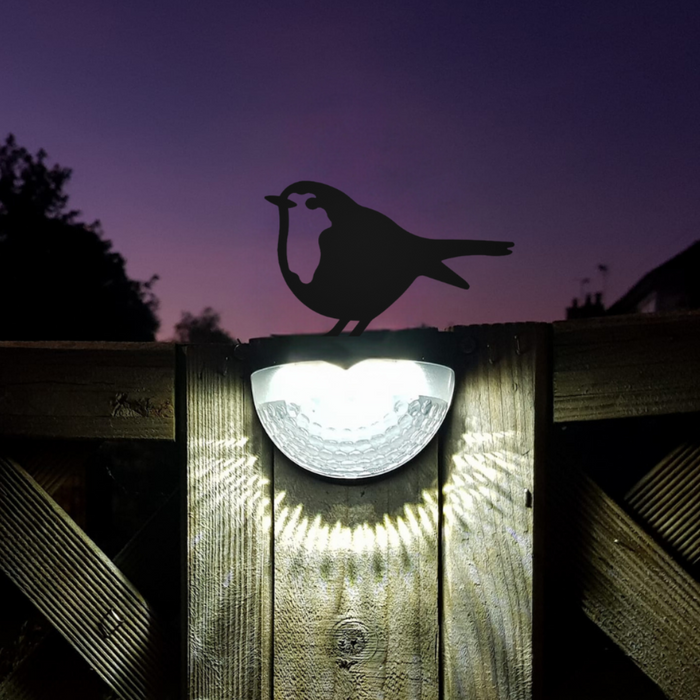 Set of 2 Robin Solar Powered LED Lights