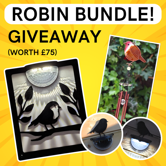 EXCLUSIVE Robin Bundle