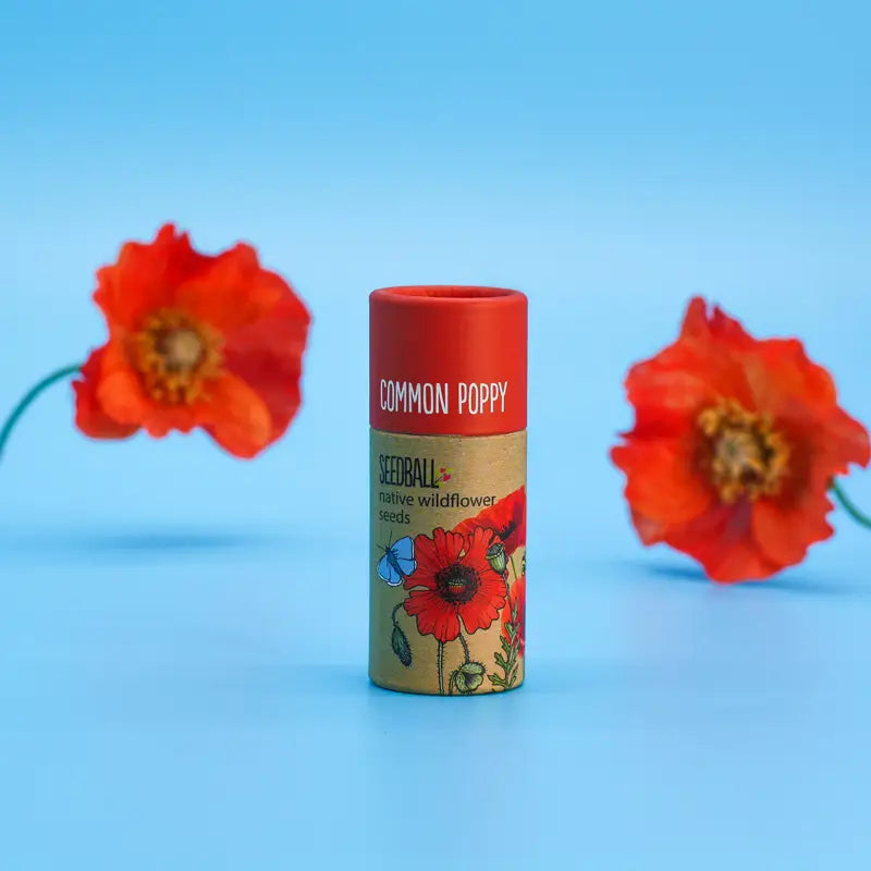 Wildflower Seedball Tube - Poppy