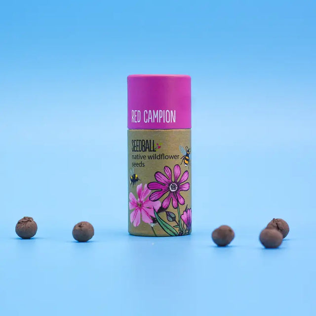 Wildflower Seedball Tube - Red Campion