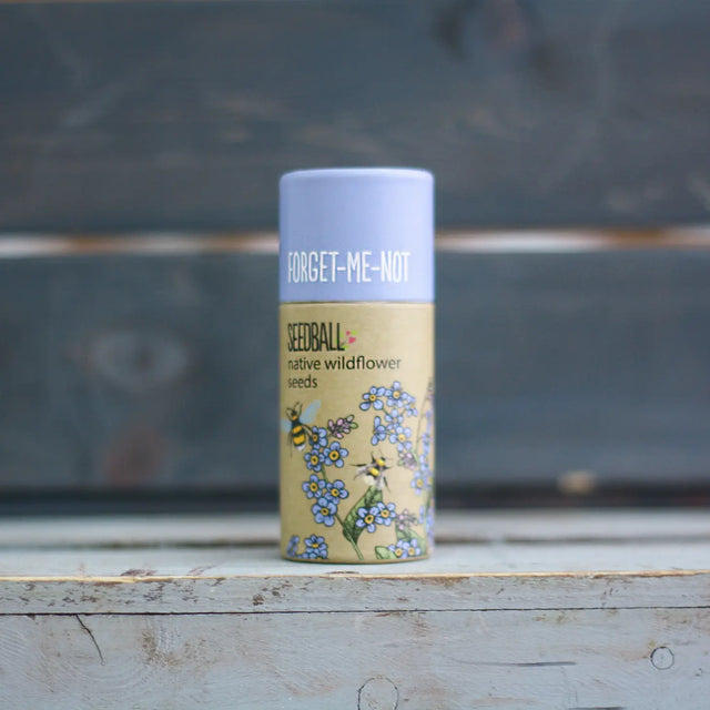 Wildflower Seedball Tube - Forget-Me-Not