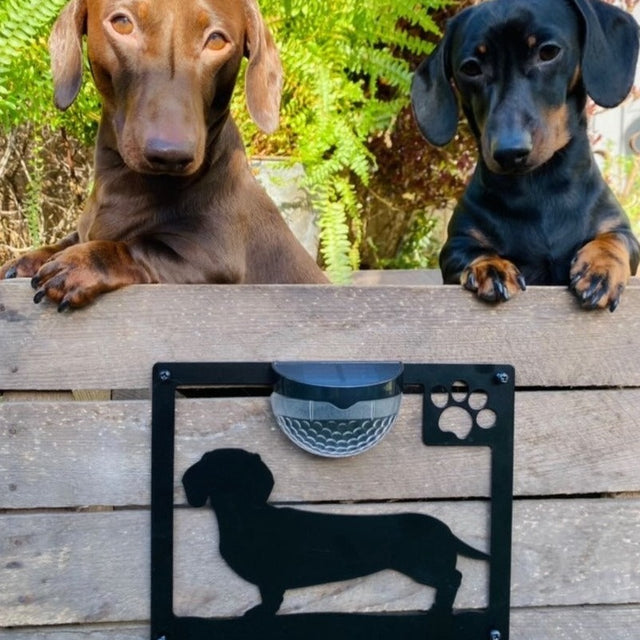 Dachshund Dog Solar Light Wall Plaque