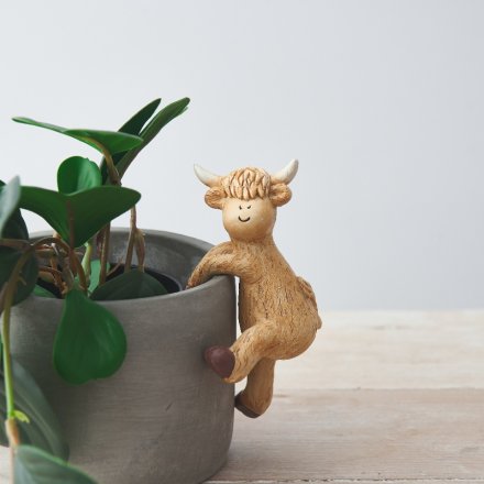 Highland Cow Pot Hanger